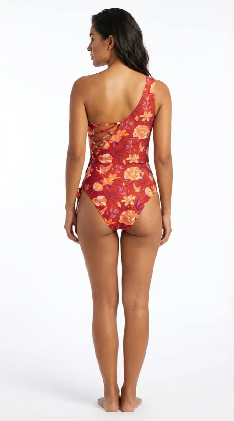 Calipso - Vista posterior