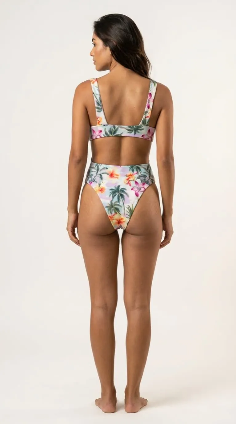 Coral - Vista posterior